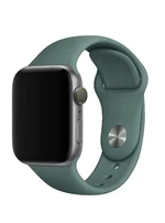 Силіконовий ремінець Watch Silicone для Apple Watch 38|40|41|42 (10 series) mm Pine Green