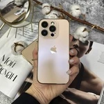 Чохол скляний з хромованим обідком Titanium Case для iPhone 13 Gold