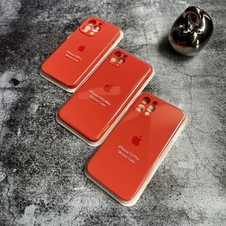 Чохол Silicone Case FULL 360 для iPhone 12 Pro Max Watermelow