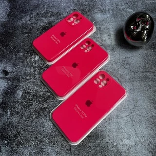 Чохол Silicone Case FULL 360 для iPhone 12 Pro Max Shiny pink